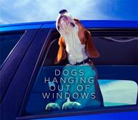 Book Cover for Dogs Hanging out of Windows by 