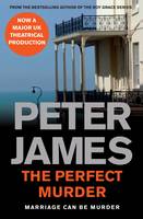 Book Cover for The Perfect Murder by Peter James