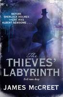 The Thieves' Labyrinth