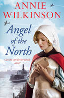 Book Cover for Angel of the North by Annie Wilkinson