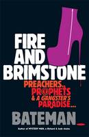Book Cover for Fire and Brimstone by Colin Bateman