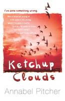 Book Cover for Ketchup Clouds by Annabel Pitcher