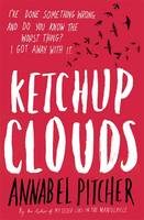 Book Cover for Ketchup Clouds by Annabel Pitcher