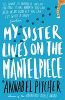 Book Cover for My Sister Lives on the Mantelpiece by Annabel Pitcher