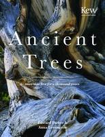 Book Cover for Ancient Trees Trees That Live for a Thousand Years by Anna Lewington