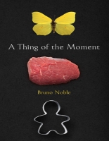 Book Cover for A Thing of the Moment by Bruno Noble