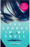 Book Cover for The Sparks In My Skull by I D Atkinson