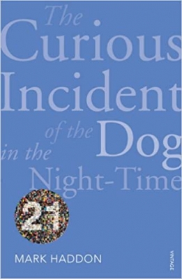 The Curious Incident of the Dog in the Night-time