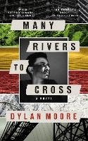 Book Cover for Many Rivers to Cross by Dylan Moore