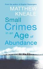 Book Cover for Small Crimes In An Age Of Abundance by Matthew Kneale