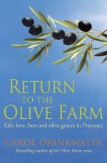 Book Cover for Return to the Olive Farm by Carol Drinkwater