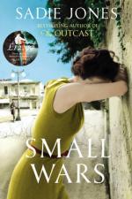 Book Cover for Small Wars by Sadie Jones
