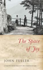 Book Cover for The Space of Joy by John Fuller