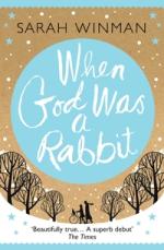 Book Cover for When God Was a Rabbit by Sarah Winman
