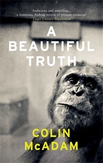 Book Cover for A Beautiful Truth by Colin McAdam