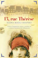 Book Cover for 13 rue Therese by Elena Mauli Shapiro