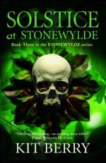 Book Cover for Solstice at Stonewylde by Kit Berry