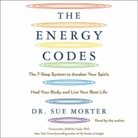 Book Cover for The Energy Codes by Dr. Sue Morter