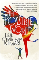 Book Cover for The Possible World by Liese O'Halloran Schwarz