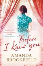 Book Cover for Before I Knew You by Amanda Brookfield