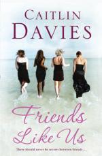 Book Cover for Friends Like Us by Caitlin Davies