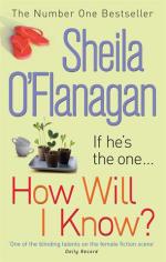 Book Cover for How Will I Know? by Sheila O'Flanagan