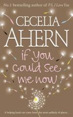 Book Cover for If You Could See Me Now by Cecelia Ahern