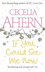 Book Cover for If You Could See Me Now by Cecelia Ahern