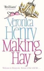 Book Cover for Making Hay by Veronica Henry