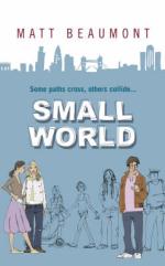 Book Cover for Small World by Matt Beaumont