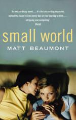 Book Cover for Small World by Matt Beaumont
