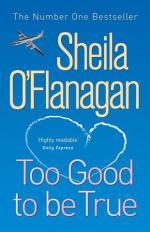 Book Cover for Too Good To Be True by Sheila O'Flanagan