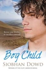 Book Cover for Bog Child by Siobhan Dowd