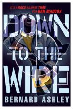 Book Cover for Down to the Wire by Bernard Ashley