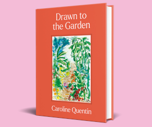 Drawn to the Garden