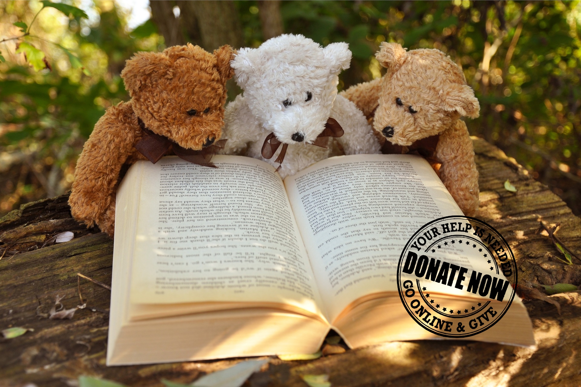 Win an Author Visit for your Book Club with National Literacy Trust! 