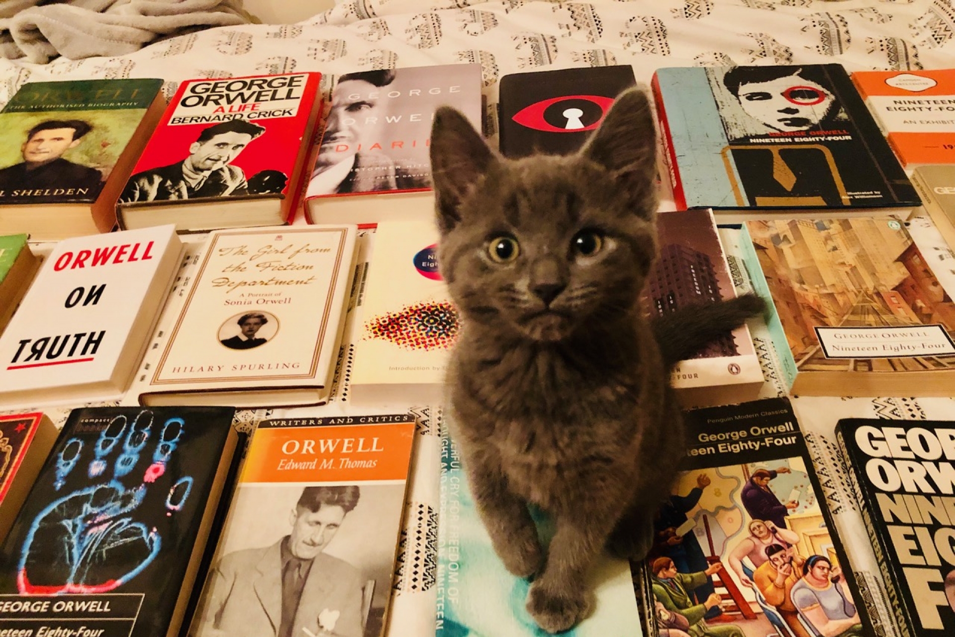 April 2019 Bookshop of the Month: The Ironbridge Bookshop (Ironbridge)