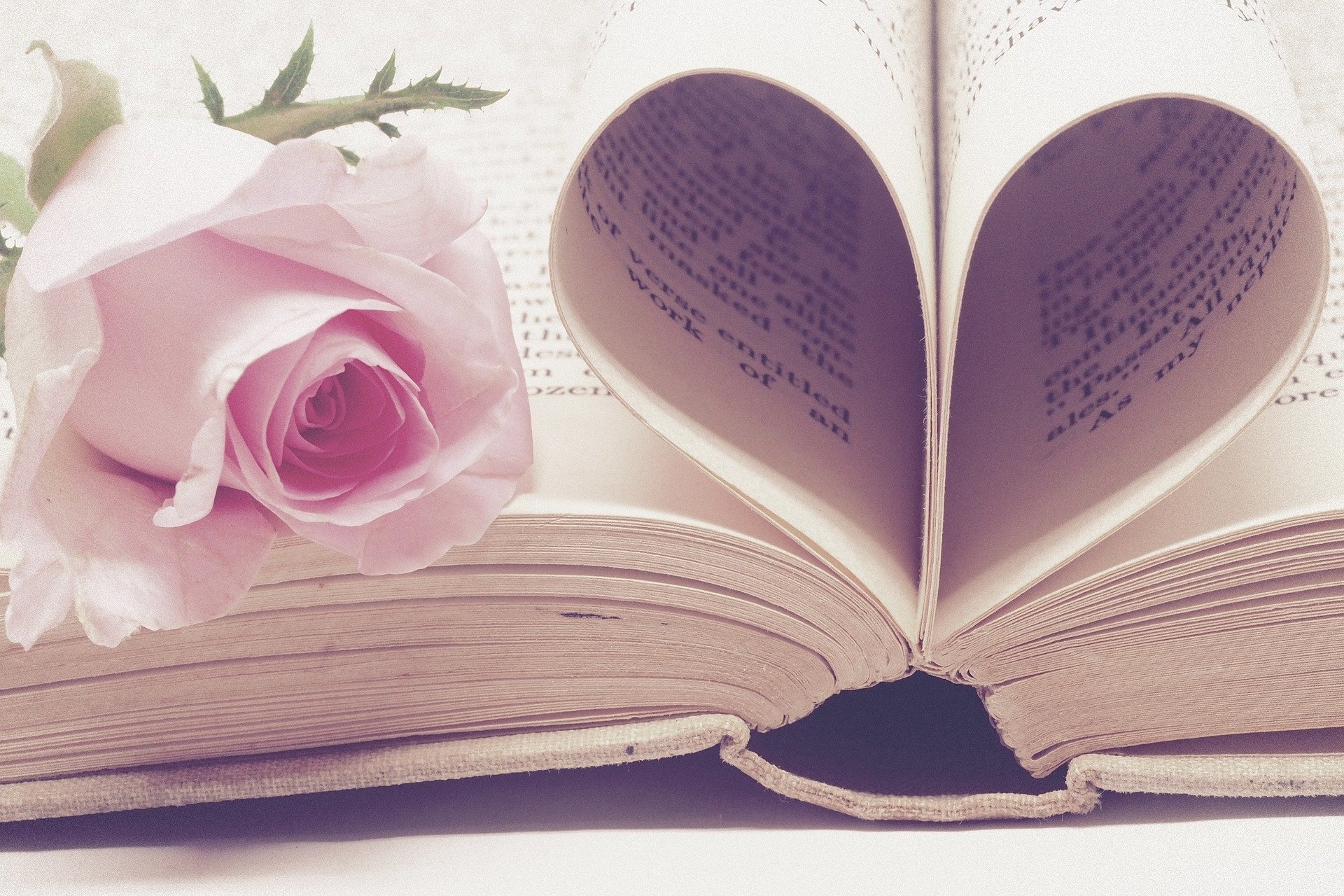 10 Romantic Books You Should Read This Valentine's Day!