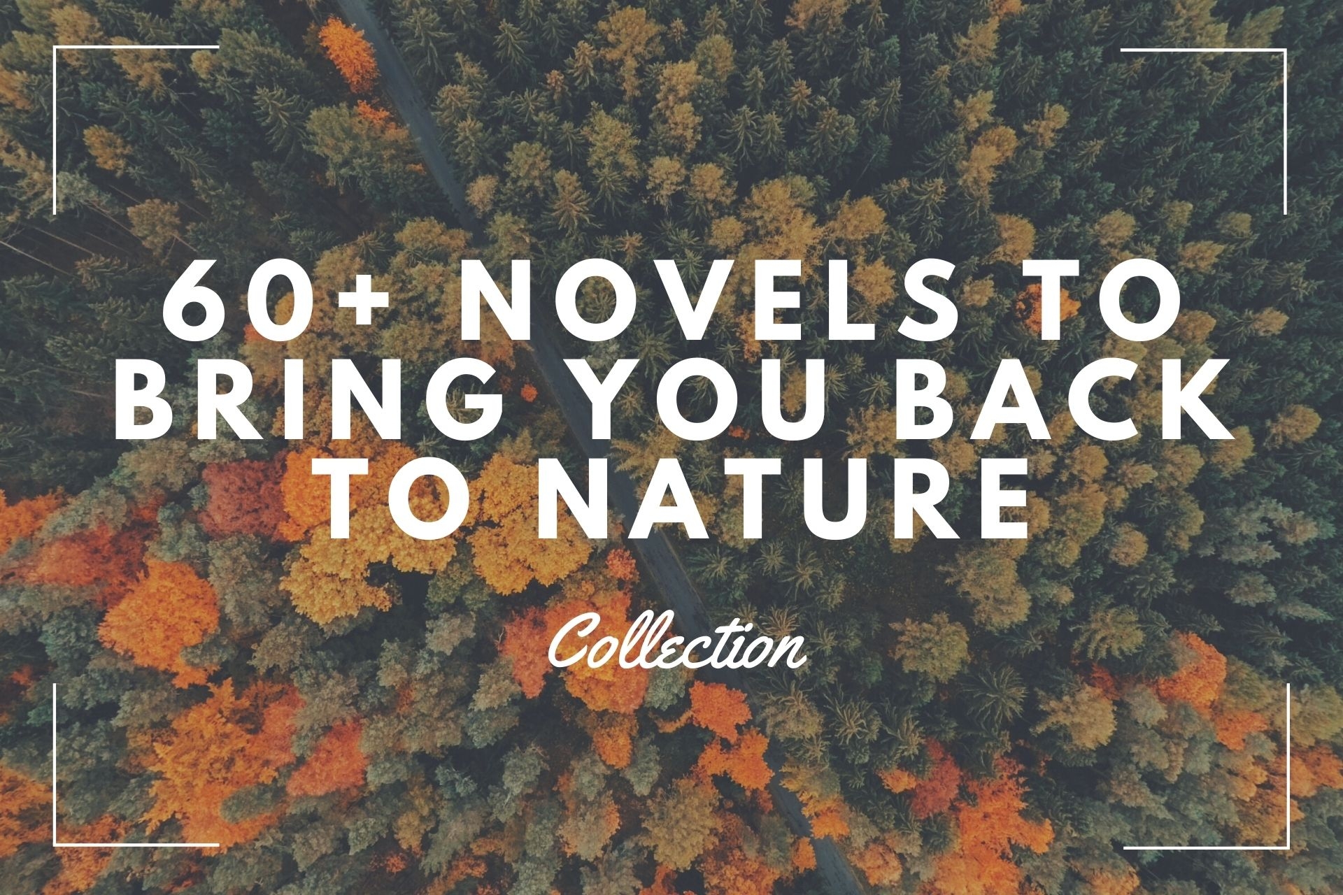 60+ Novels to Bring You Back to Nature