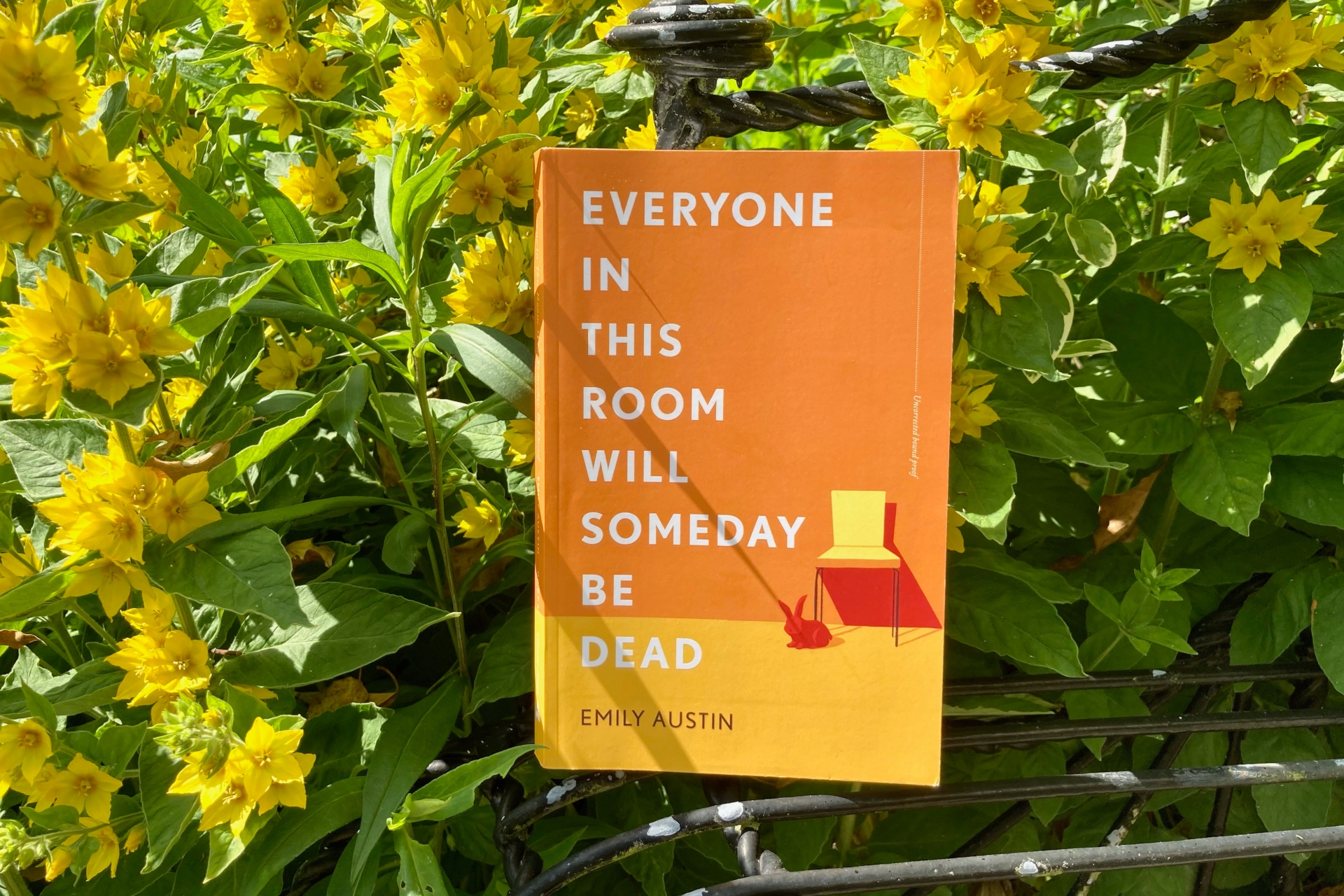 Everyone in This Room Will Someday Be Dead by Emily R. Austin