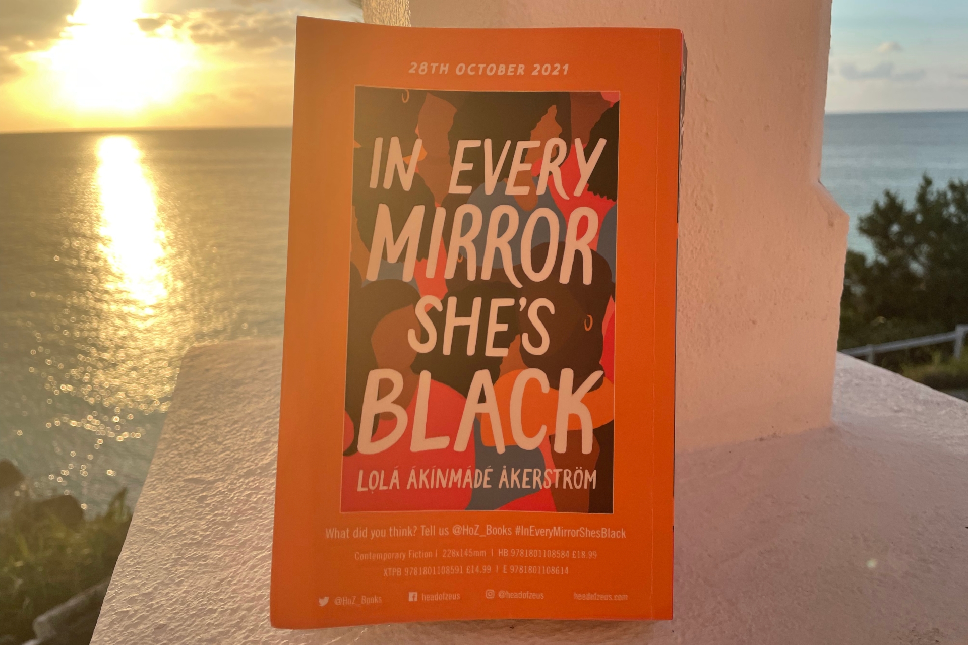 November 2021 Book Club Recommendation: In Every Mirror She's Black