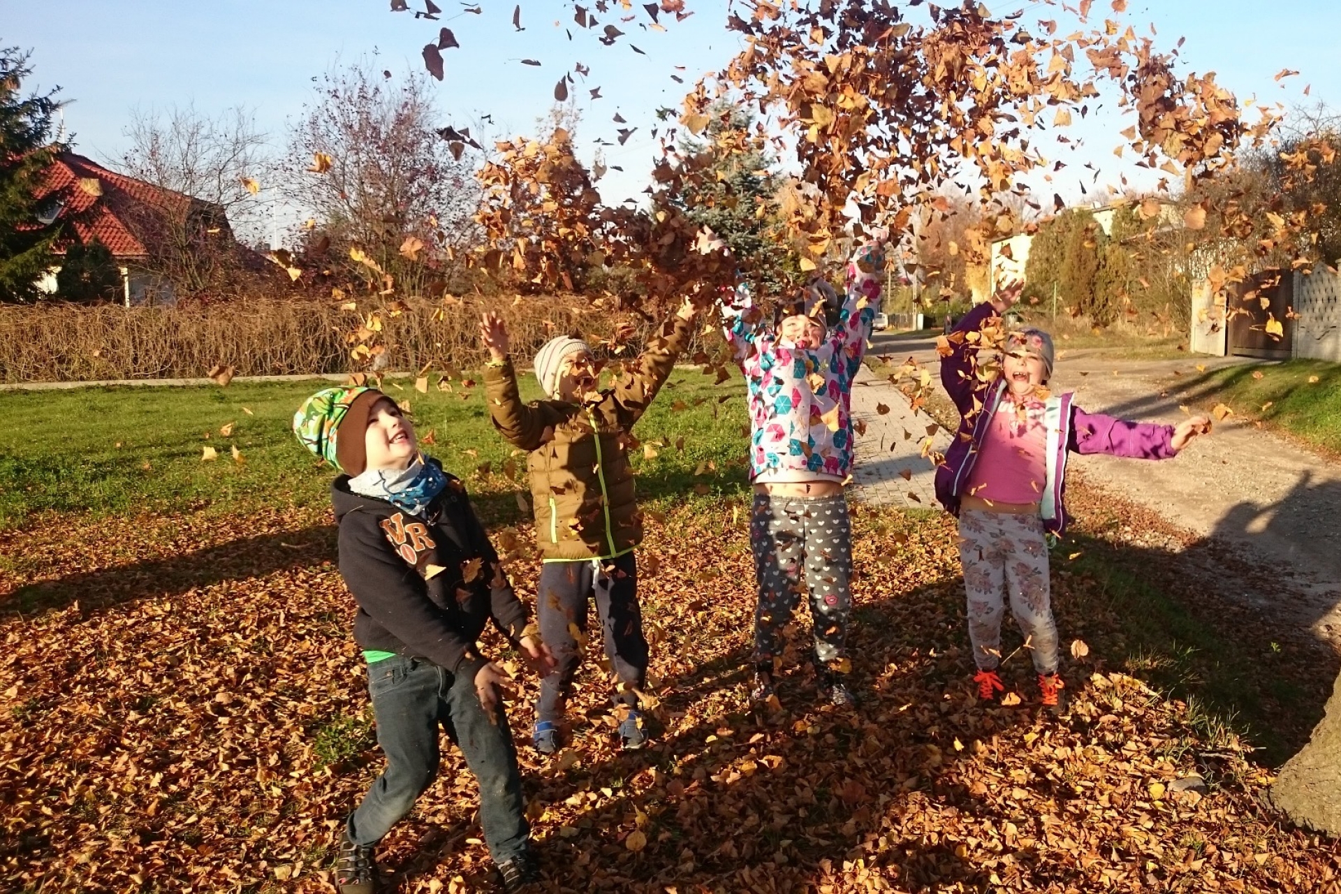 Word-themed walks on the wild side - taking creative inspiration from enjoying autumn in the great outdoors.