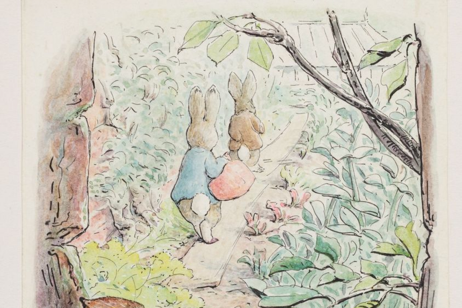 Beatrix Potter: Drawn to Nature Exhibition, tickets now on sale