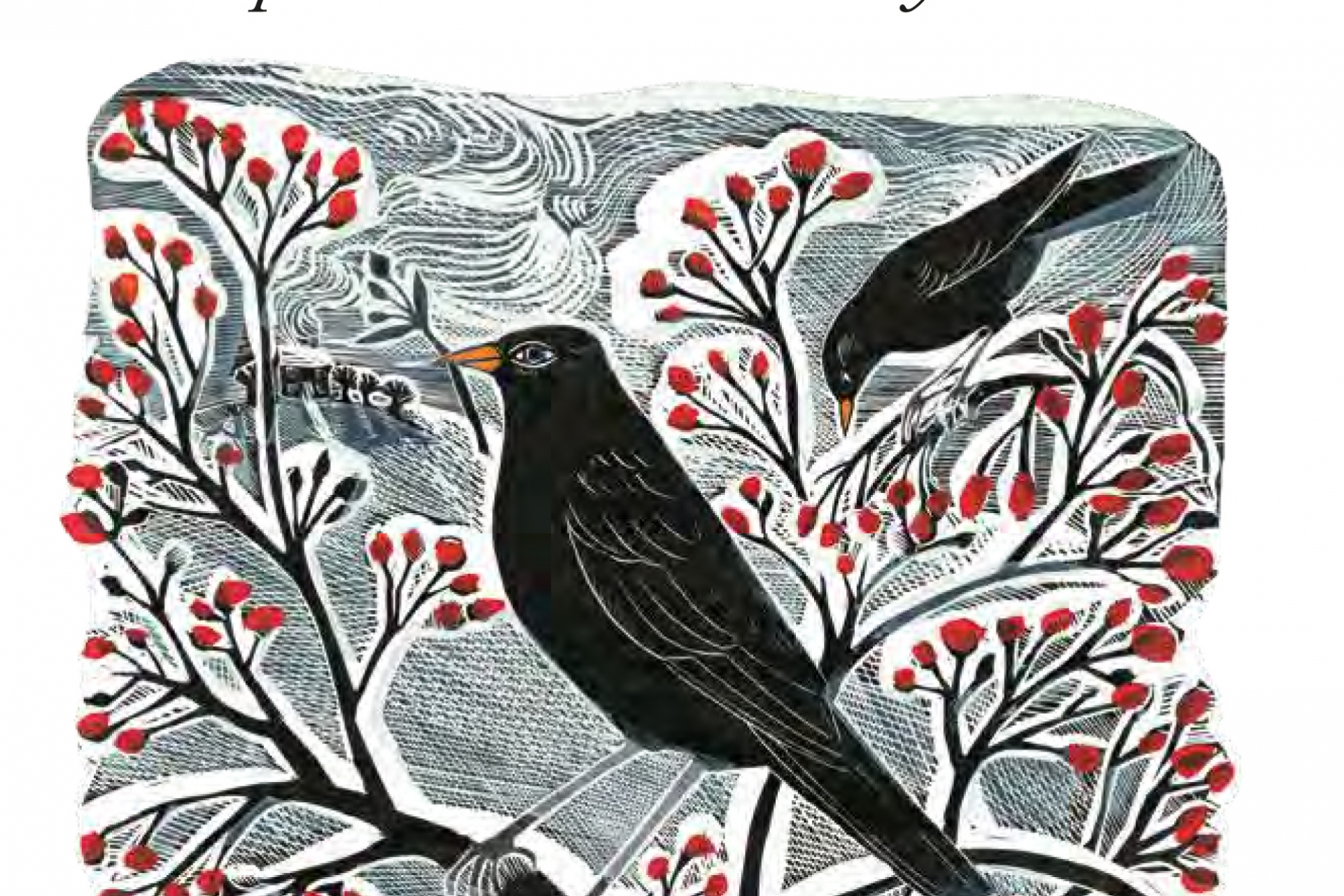 30 Beautiful Books about Birds for the RSPB Big Garden Birdwatch 2024