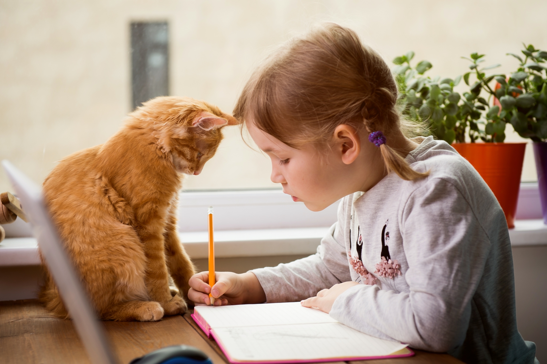 Get creative with creatures! 3 awesome animal-themed writing activities for National Pet Month