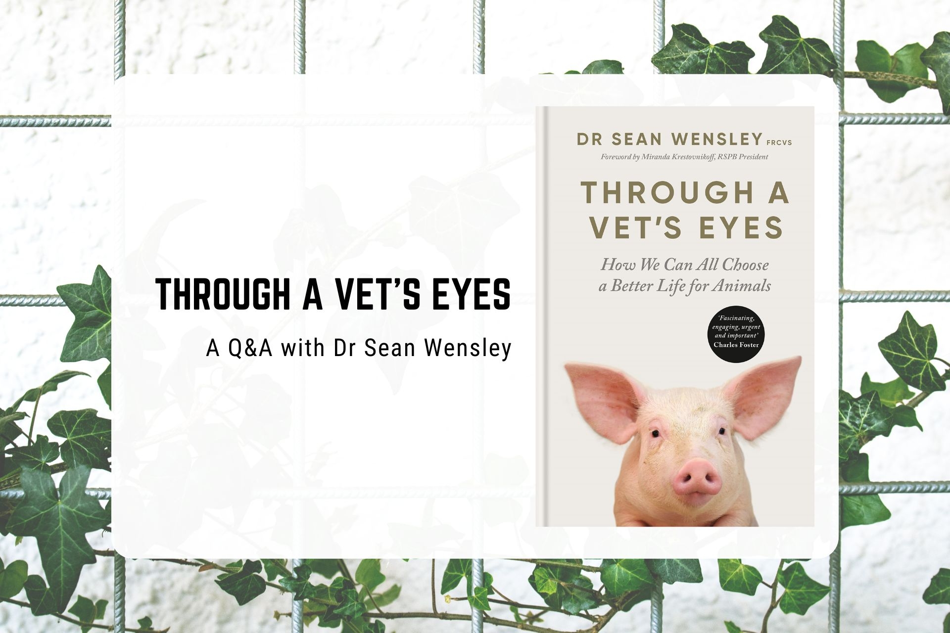 ﻿Through A Vet's Eyes﻿ - a Q&A with Dr Sean Wensley about his inspiring and compassionate memoir