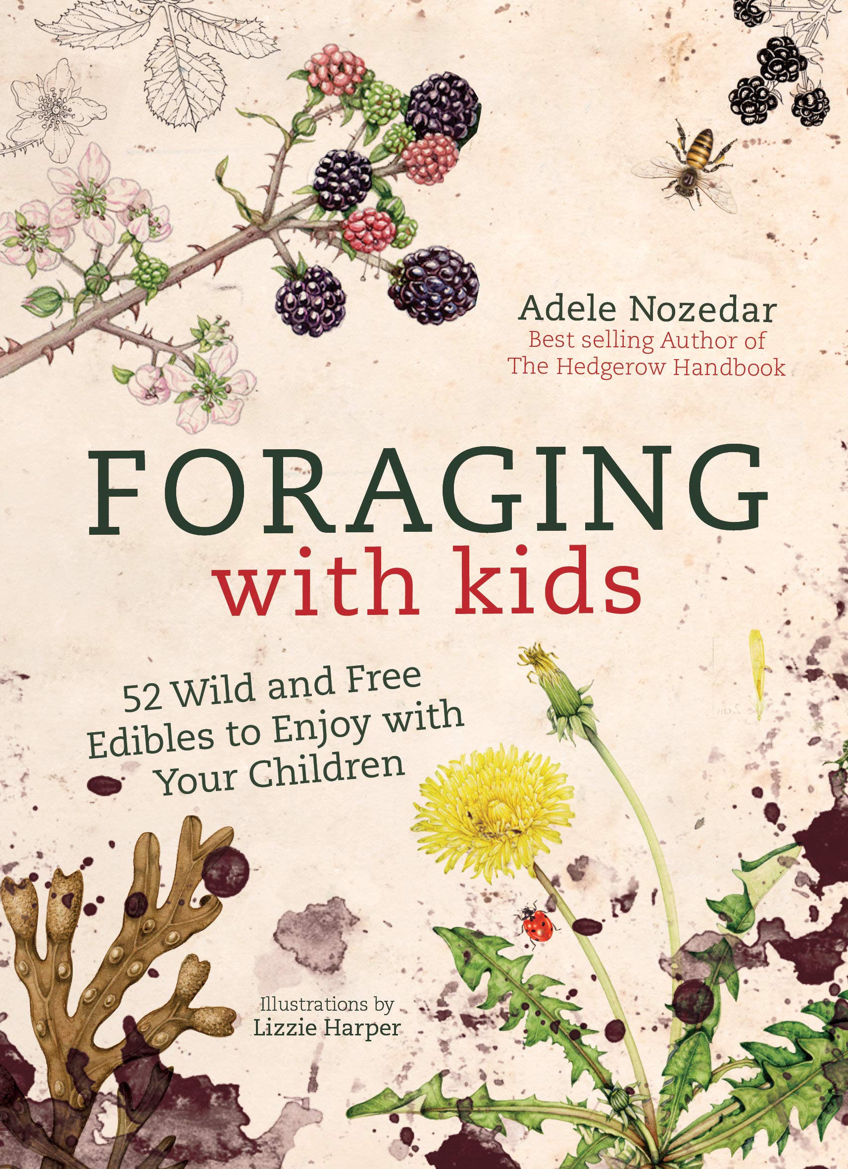 Win a Signed Copy of Foraging with Kids by Adele Nozedar Plus Extra Treats!