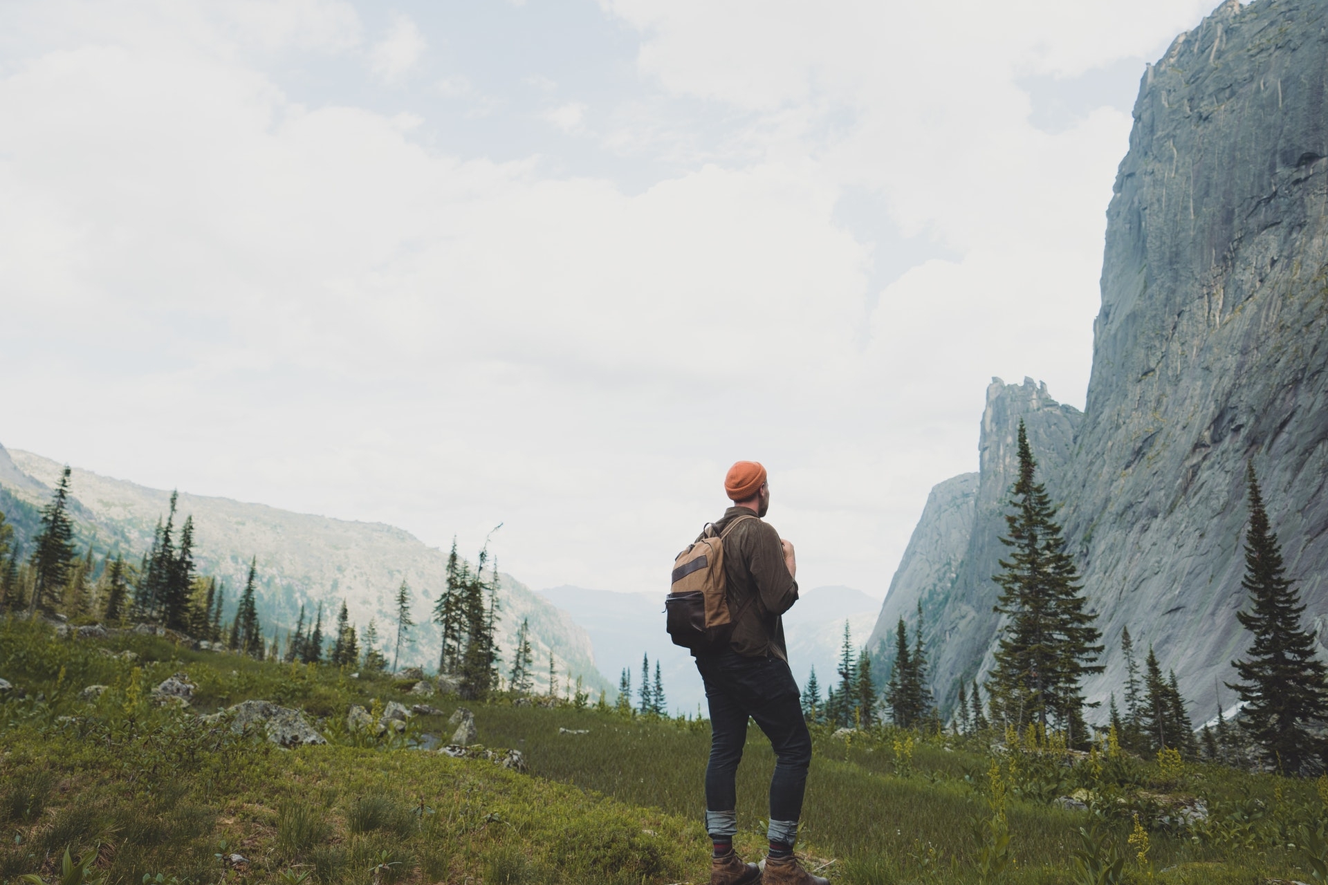 40+ Books Celebrating Nature and Our Natural World