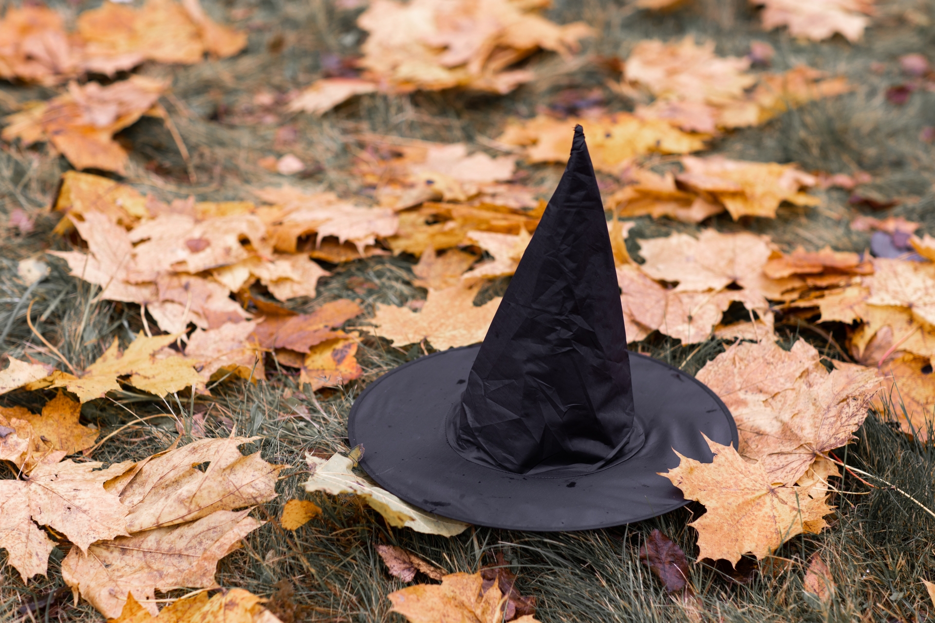 creative writing on witches