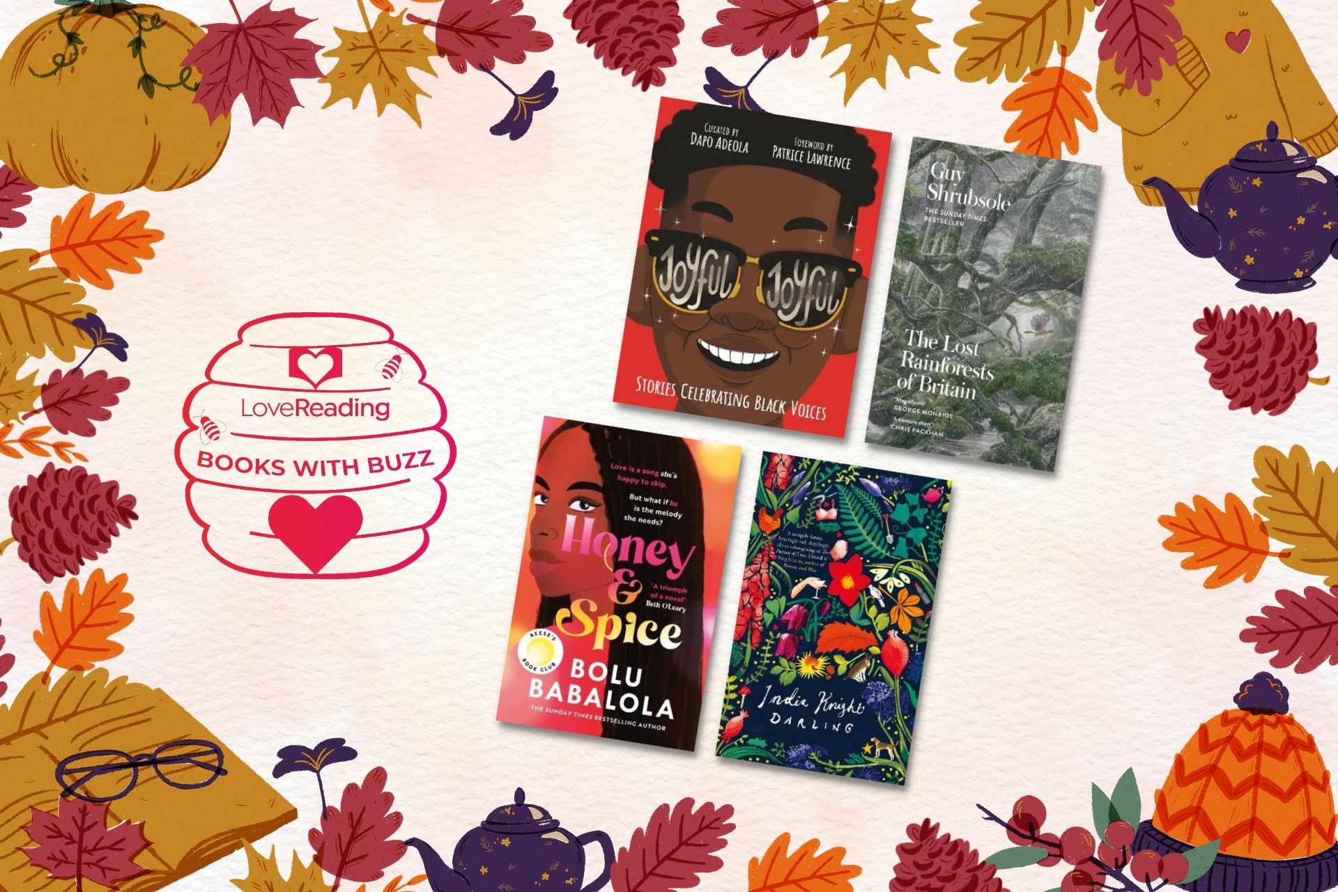 November Bookshop Chat - Books With Buzz November 2022